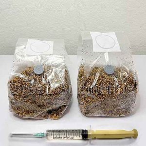 Стерильний субстрат для склероціїв